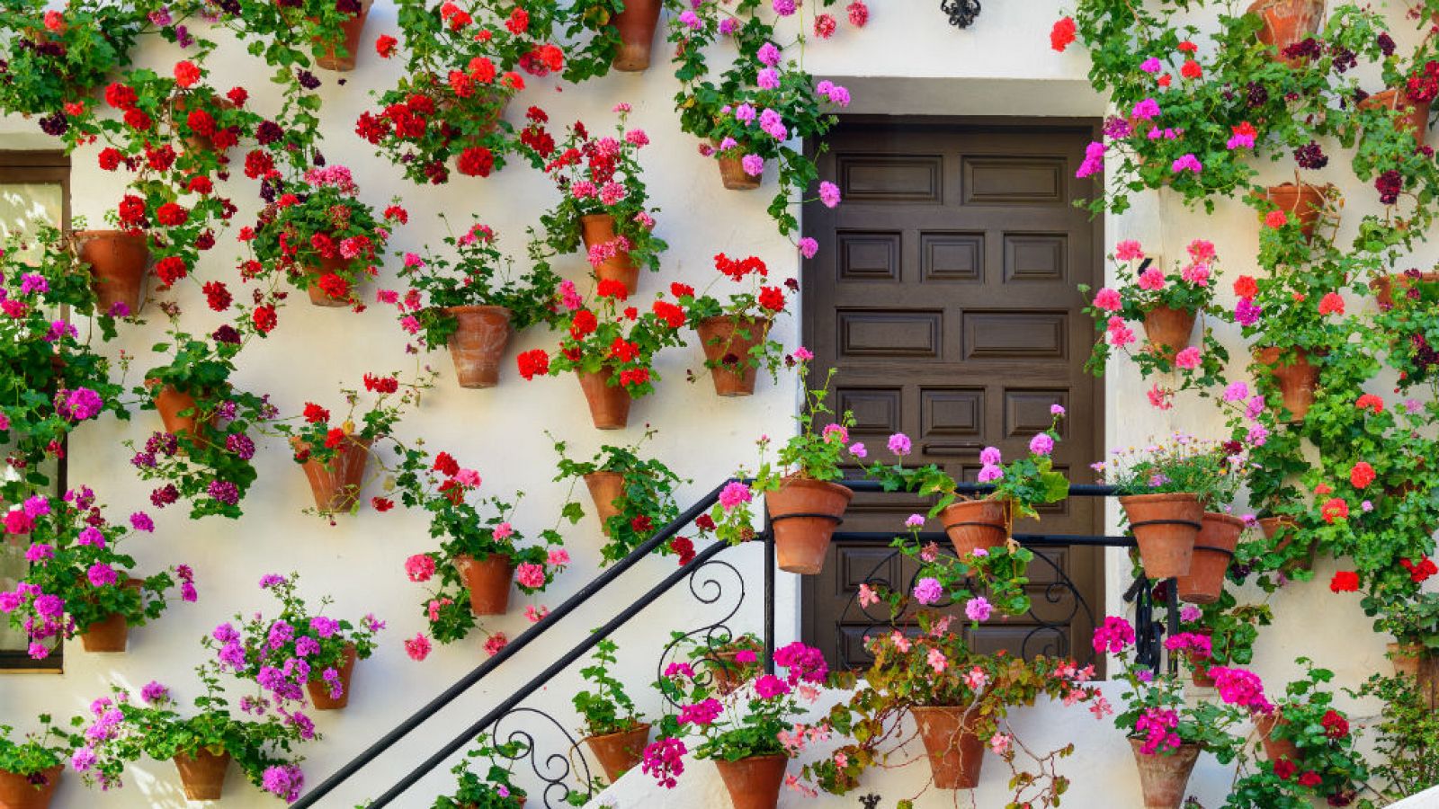 Patios de Córdoba