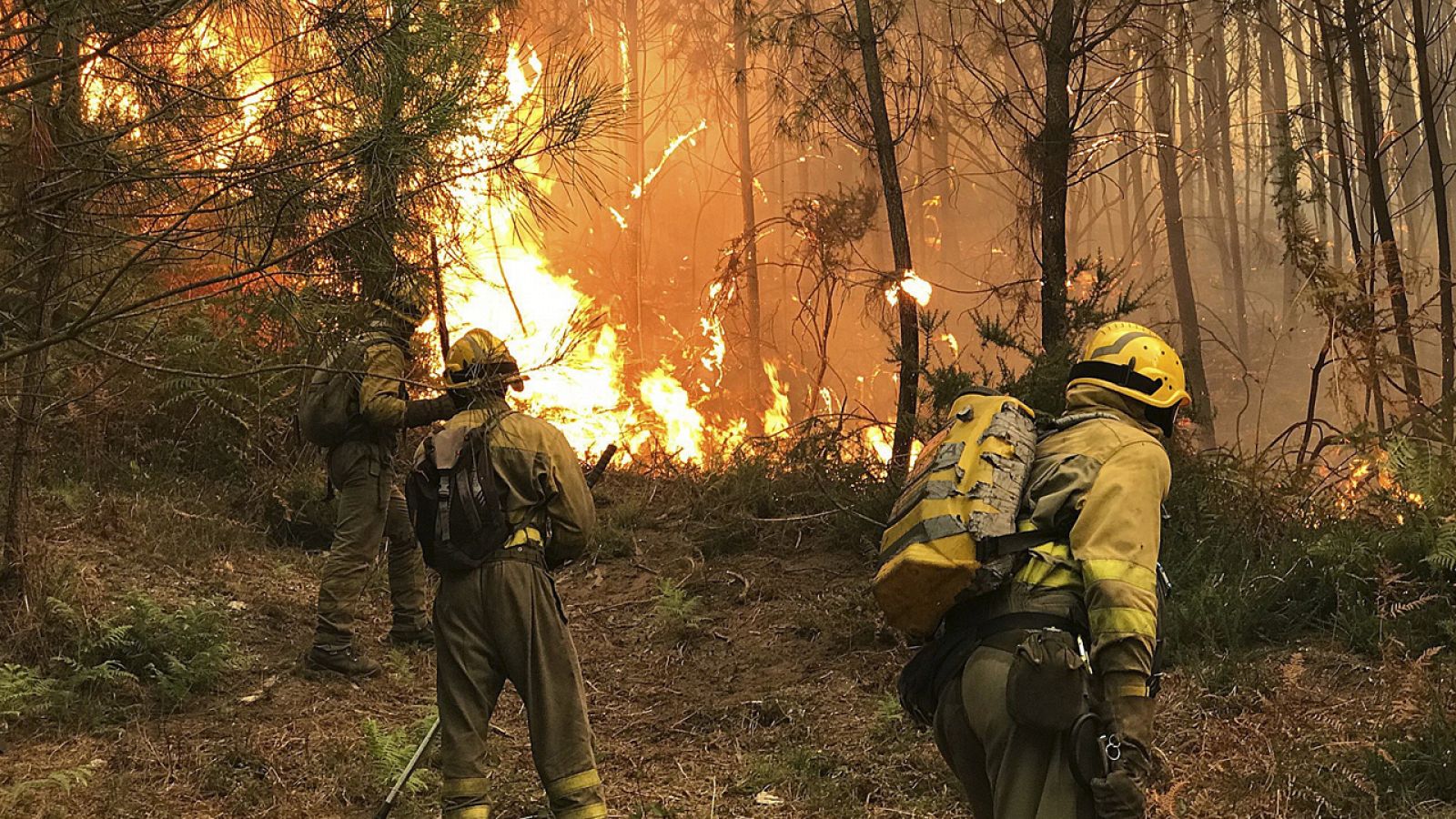 Imagen de archivo de los servicios de emergencia en un incendio en Pontevedra el pasado octubre