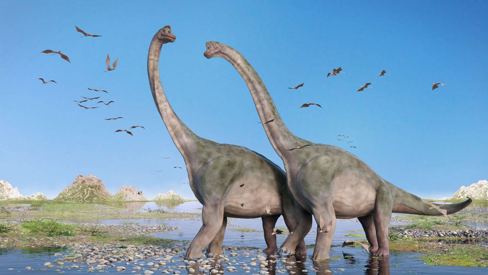 Un estudio científico vincula la expansión de los dinosaurios con una extinción masiva por una época de lluvias
