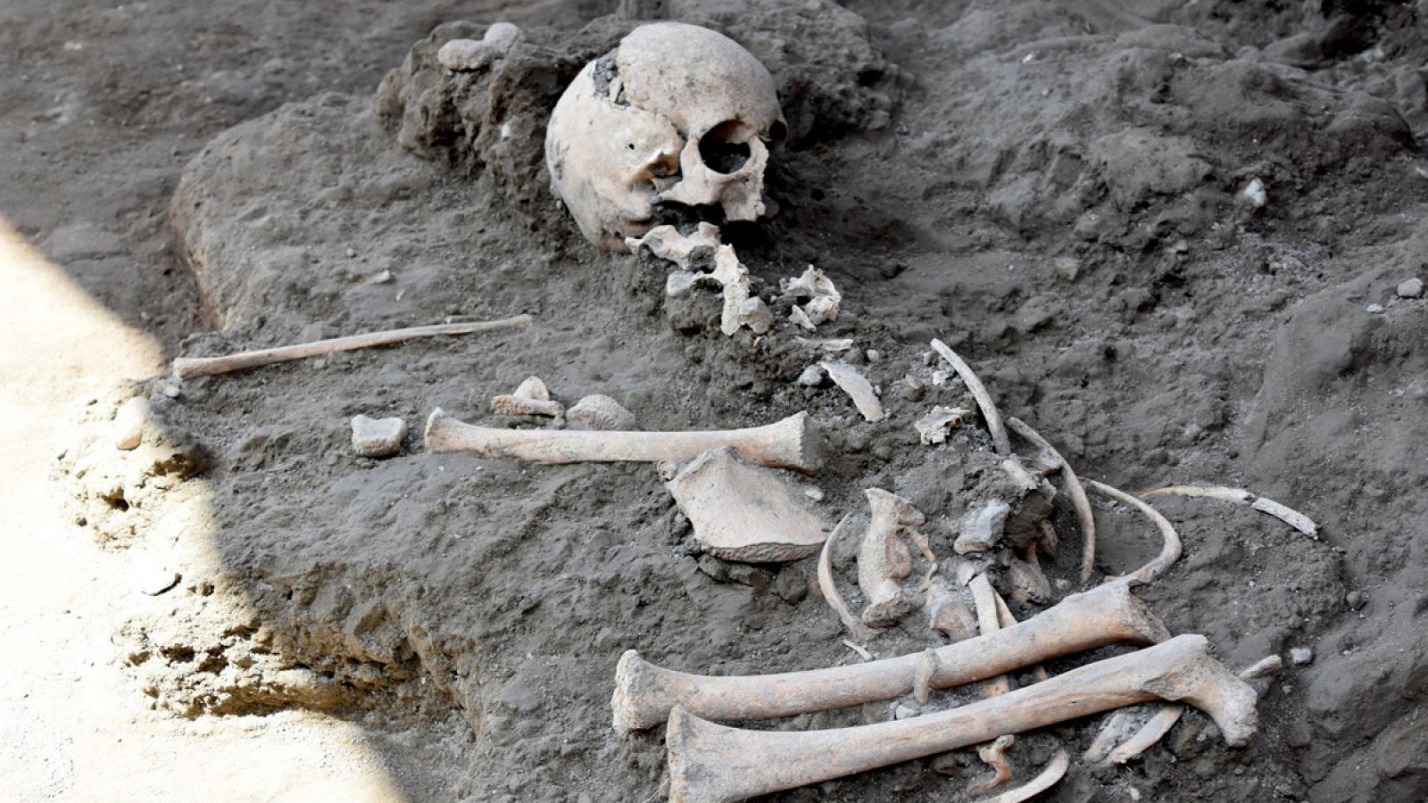 La estructura ósea correspondería a un niño o niña de entre 7 y 8 años de edad y ha sido hallada prácticamente completa.
