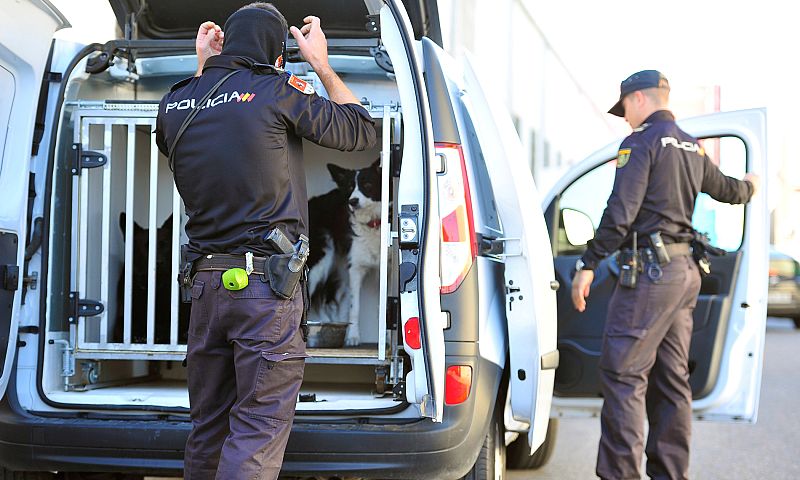 Imagen de archivo de una de las operaciones realizadas el pasado año en Cobo Calleja