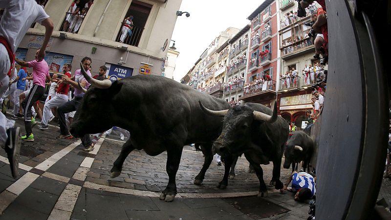 Ganadería José Escolar - Sanfermines 2017