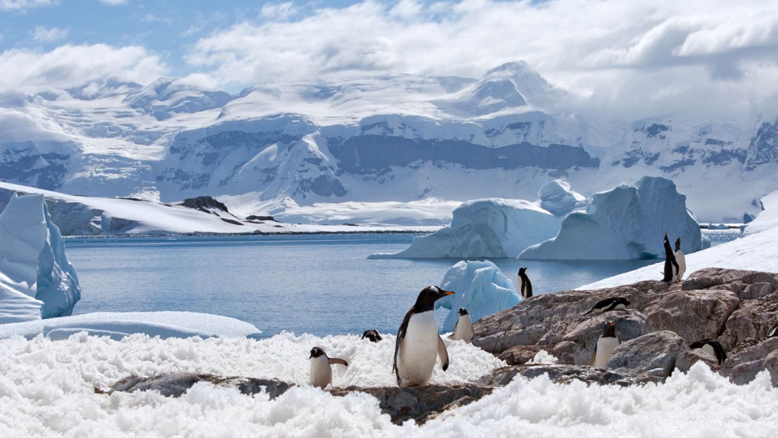 La Antártida contiene suficiente agua para elevar el nivel del mar 58 metros a escala mundial.