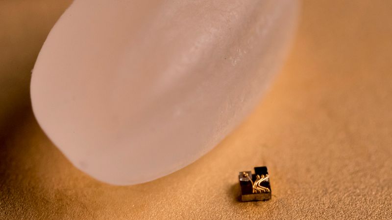 Comparación del microordenador Michigan Micro Mote con un grano de arroz.