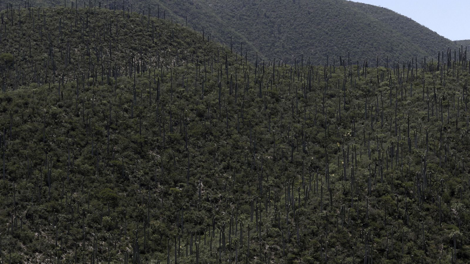 VALLE DE TEHUACÃ¿N-CUICATLÃ¿N, JOYA MEXICANA CANDIDATA A PATRIMONIO MUNDIAL