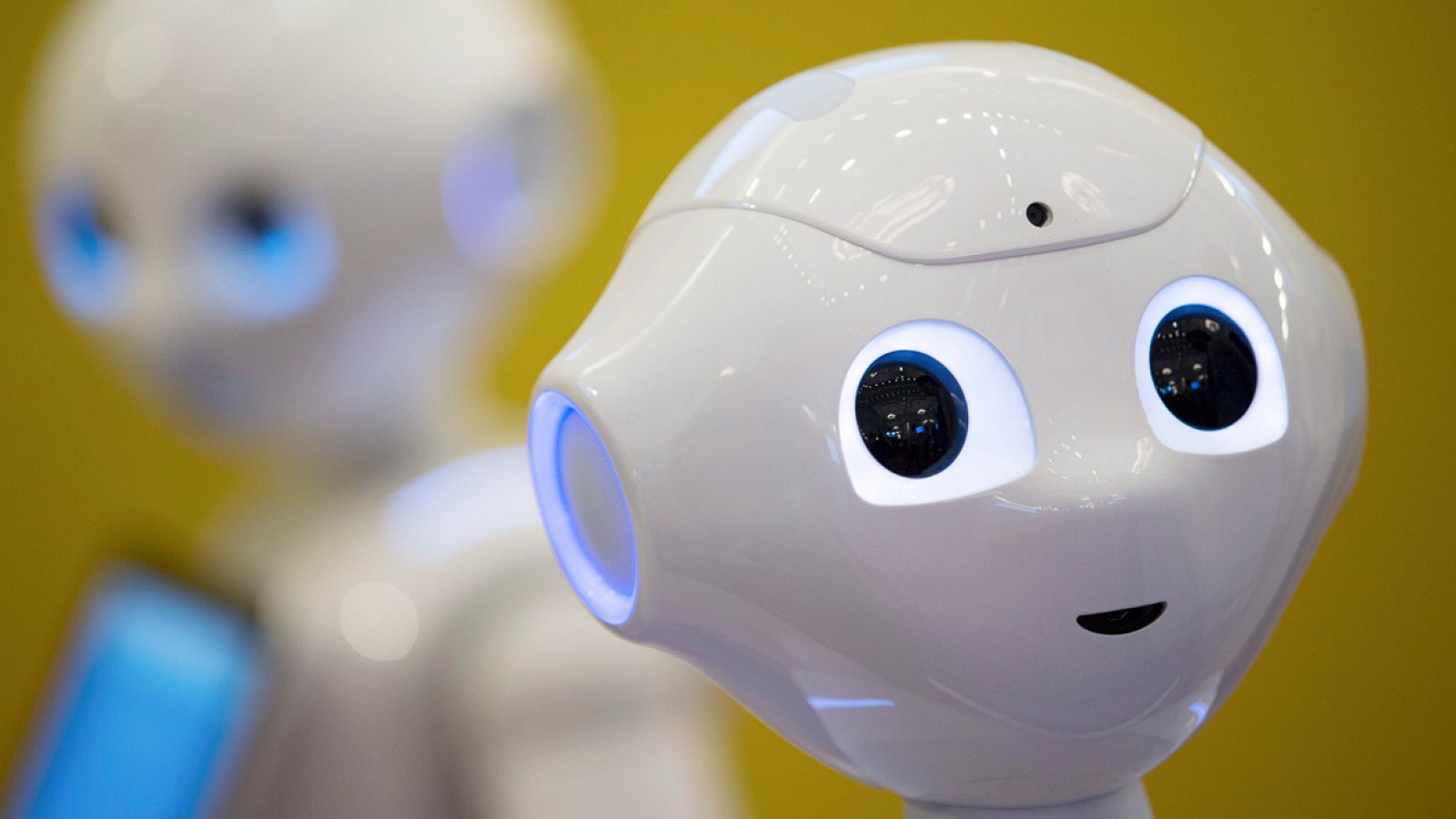 El robot Pepper tiene capacidad de aprendizaje, recogiendo e incorporando todos los datos que recibe.