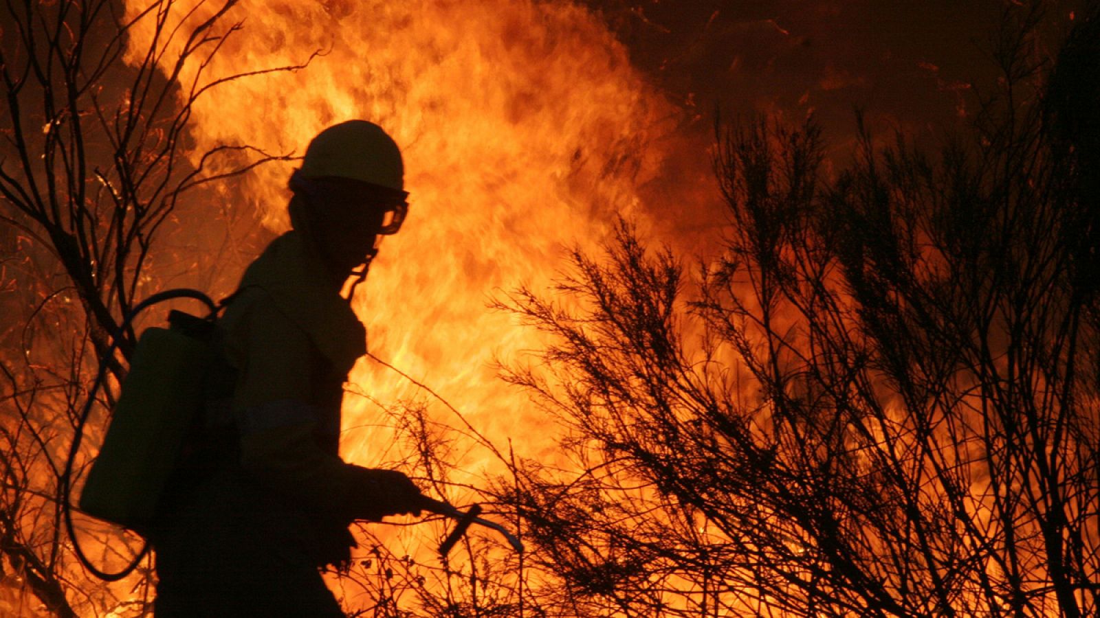 En 2017, se declararon un 200% más de grandes incendios forestales que la media de la última década.