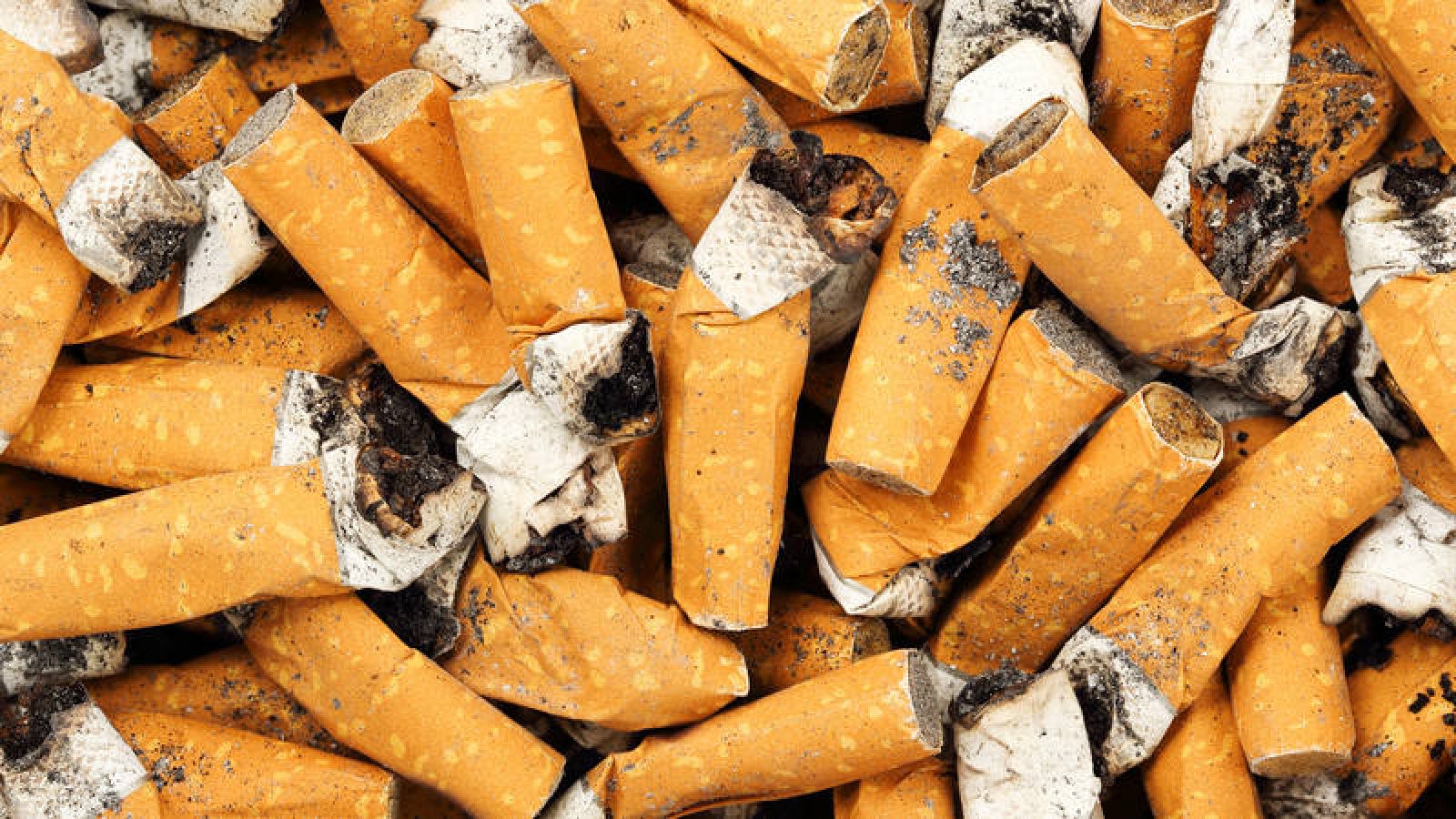 Colillas apagadas de cigarrillos