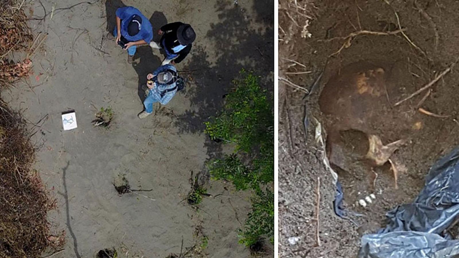 Combo de fotografías cedidas por la Fiscalía General del Estado de Veracruz (México) que muestra a expertos forenses mientras realizan labores en la zona donde se ha encontrado la fosa clandestina.