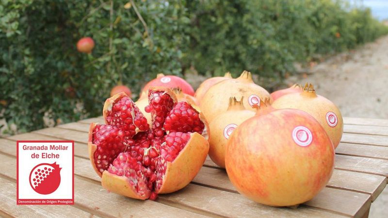 La Granada Mollar de Elche está reconocida con el sello de calidad Denominación de Origen Protegida