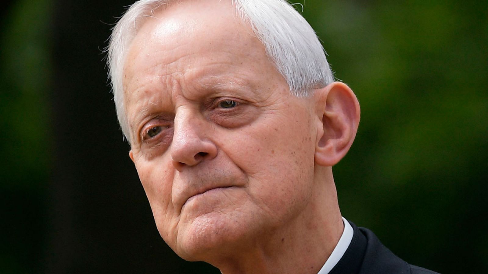 El arzobispo de Washington, Donald Wuerl