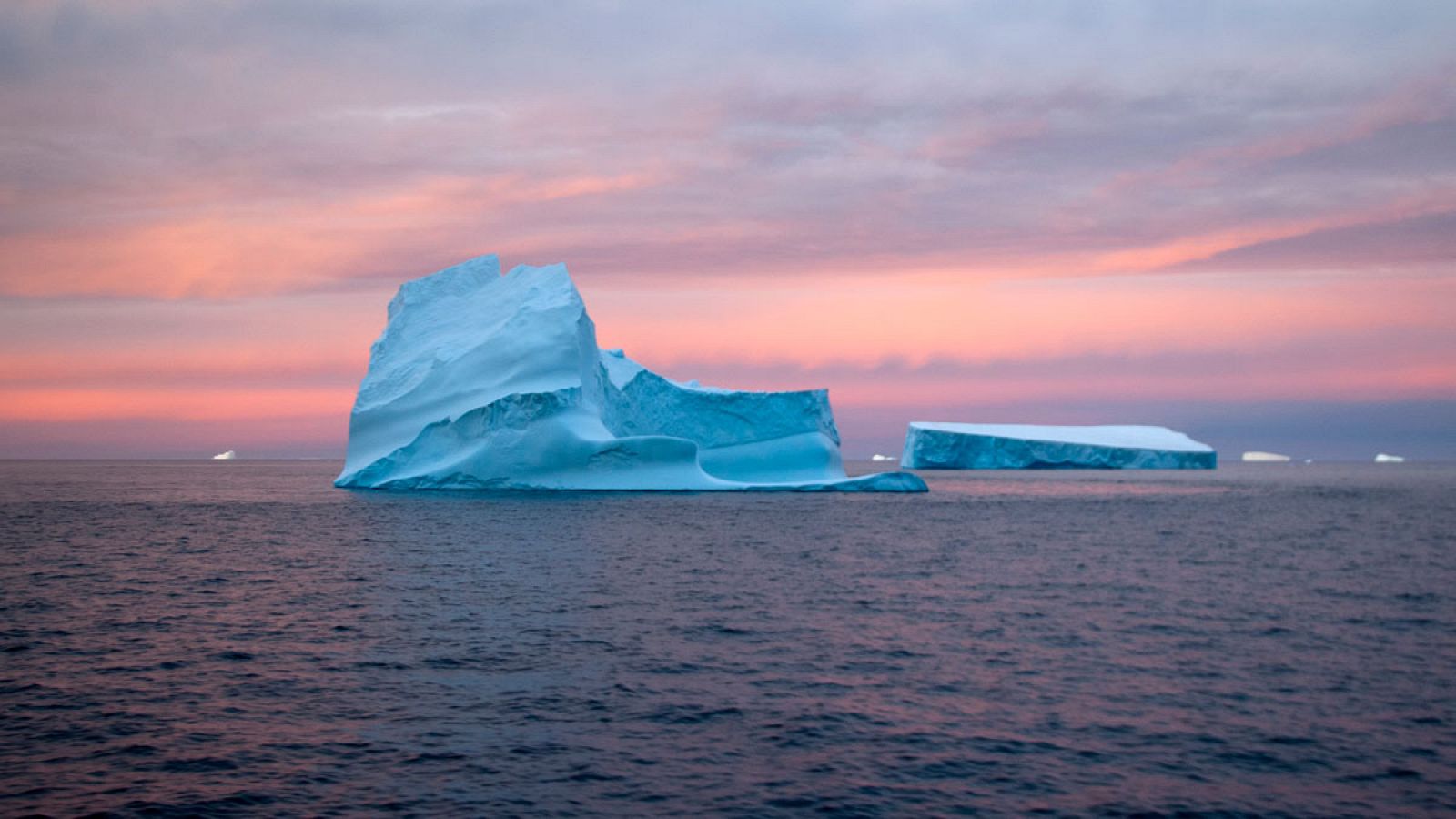 Las tres nuevas áreas marinas protegidas estarían en la Antártida, en el mar de Weddel y en la Península Antártica occidental.