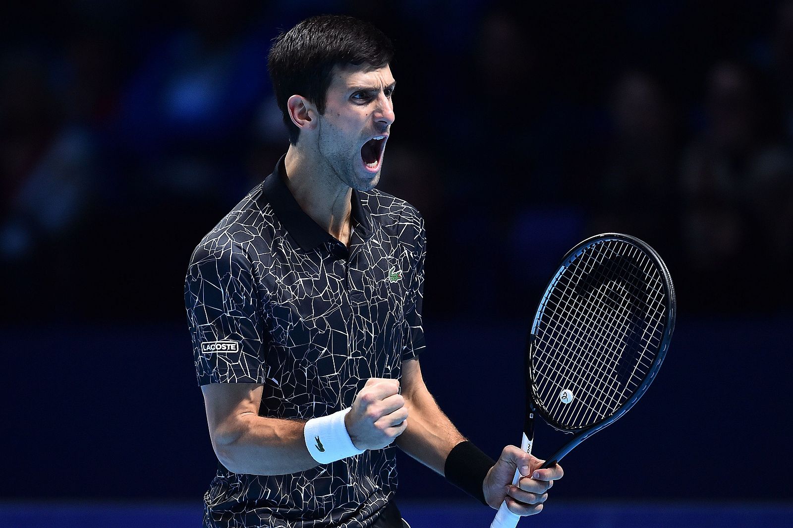 Djokovic celebra un punto ante Isner