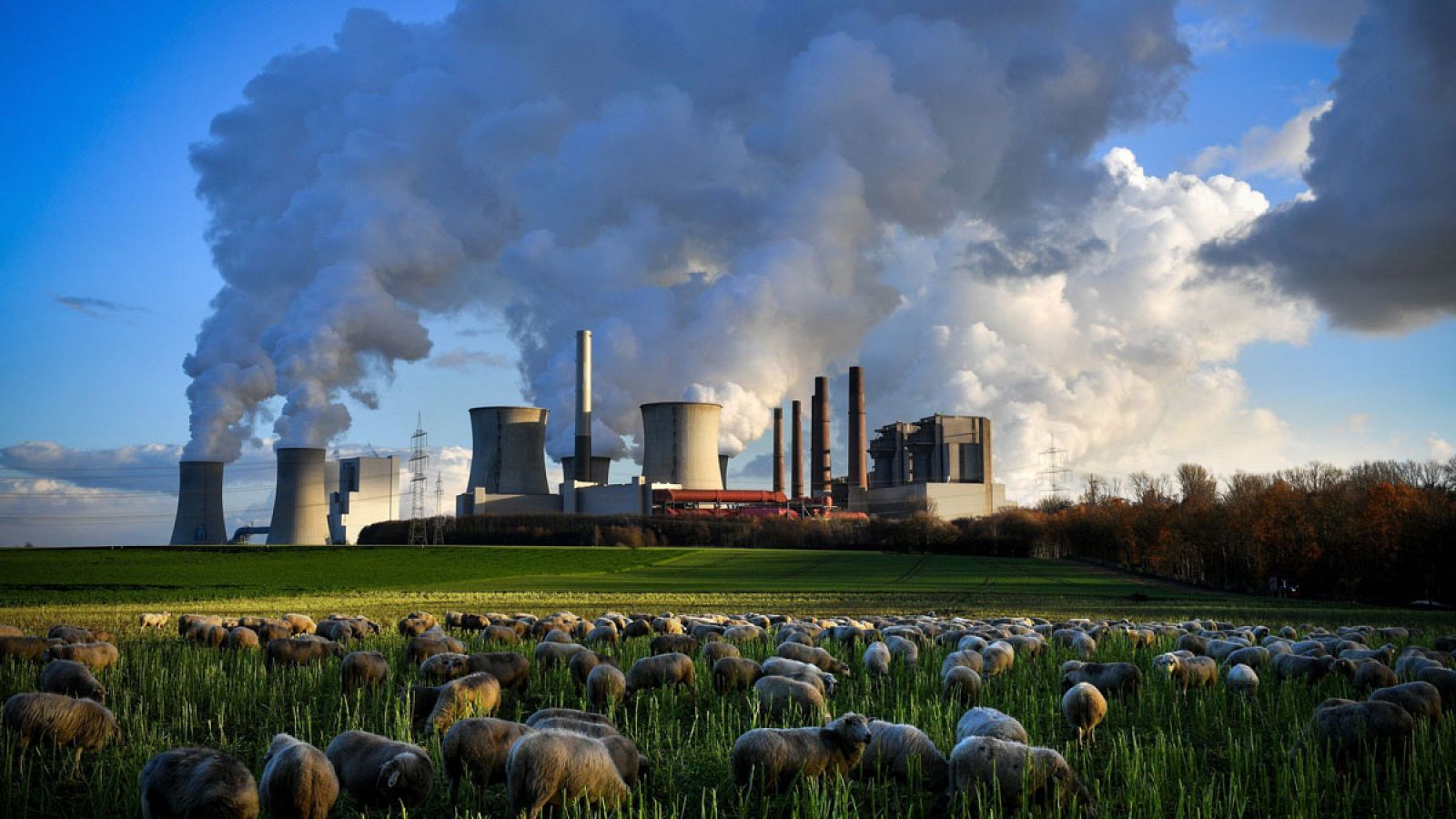 Varias columnas de humo se desprenden de la planta de Neurath en Bergheim (Alemania)