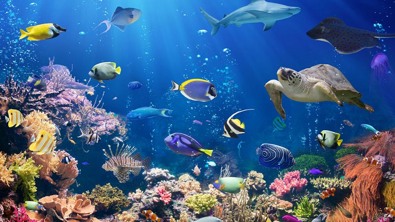 El calentamiento global provocó la mayor extinción de especies ocurrida hace 252 millones de años