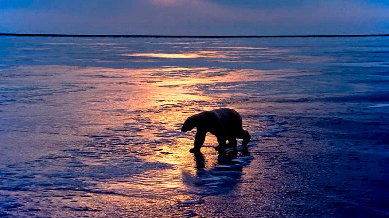 Groenlandia alberga el segundo depósito de agua dulce más grande de la Tierra, después de la Antártida.