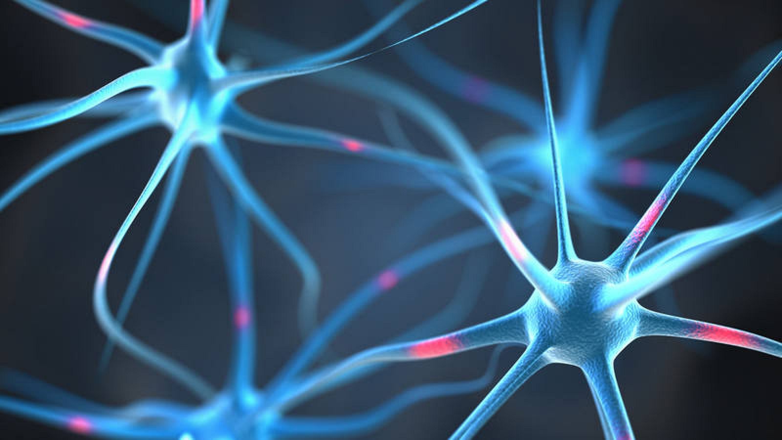 Representación gráfica de las neuronas