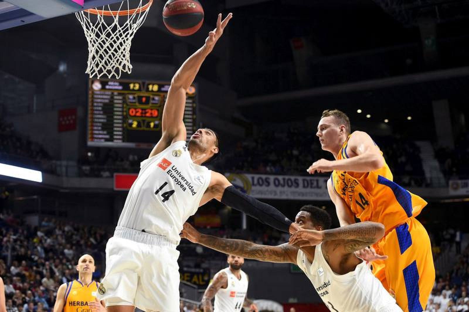 Real Madrid- Herbalife Gran Canaria