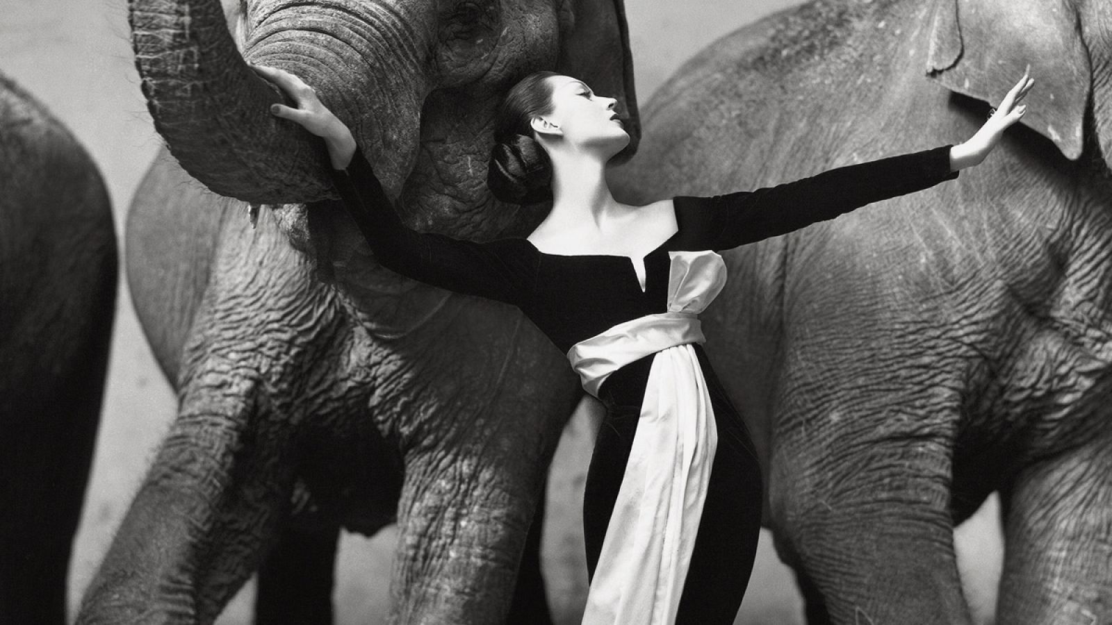 Detalle de la fotografía 'Dovima con elefantes en traje de noche de Dior' (1995)