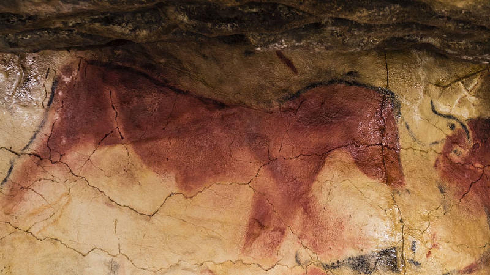  Los científicos revelan el origen neandertal en el arte de las cuevas ibéricas