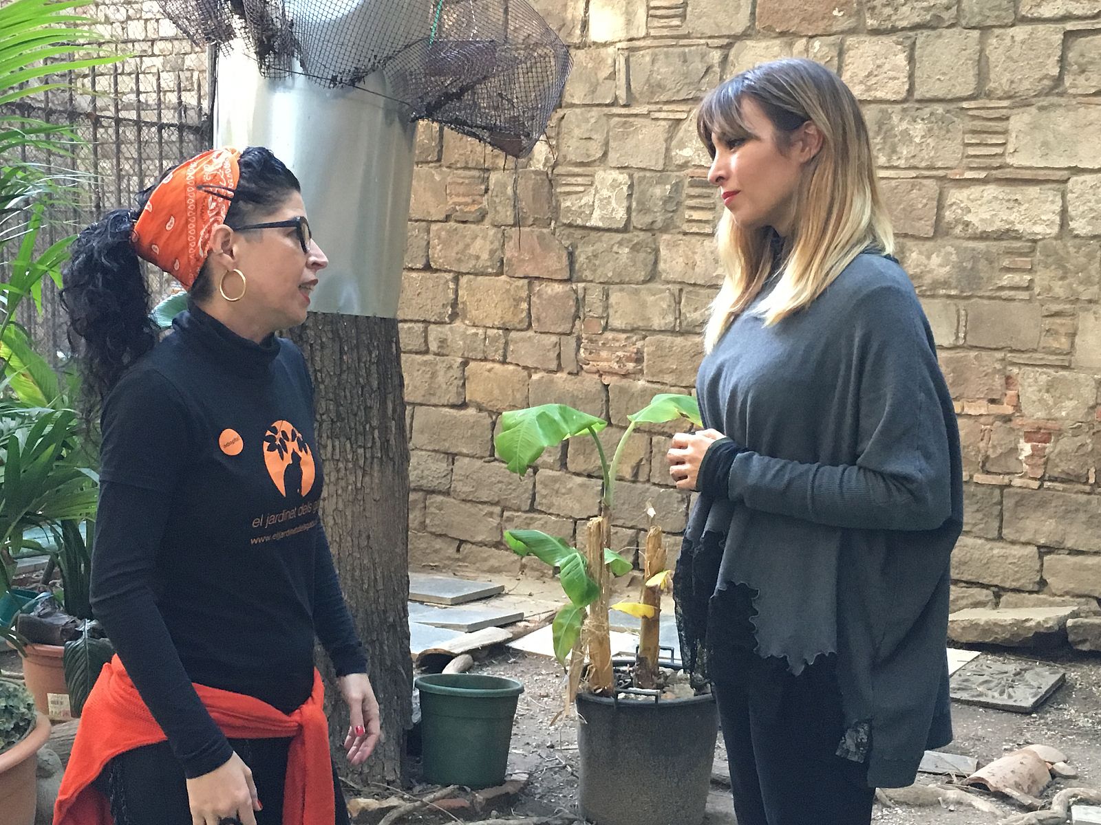 El jardinet dels gats