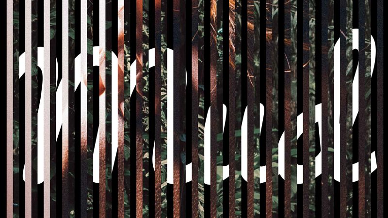 La decimotercera edición del MUD se celebra en Lleida del 7 al 10 de marzo