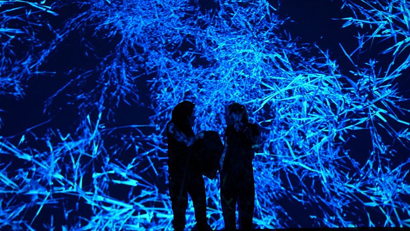 El Ciclo de Electrónica Visual del Centro Botín de Santander