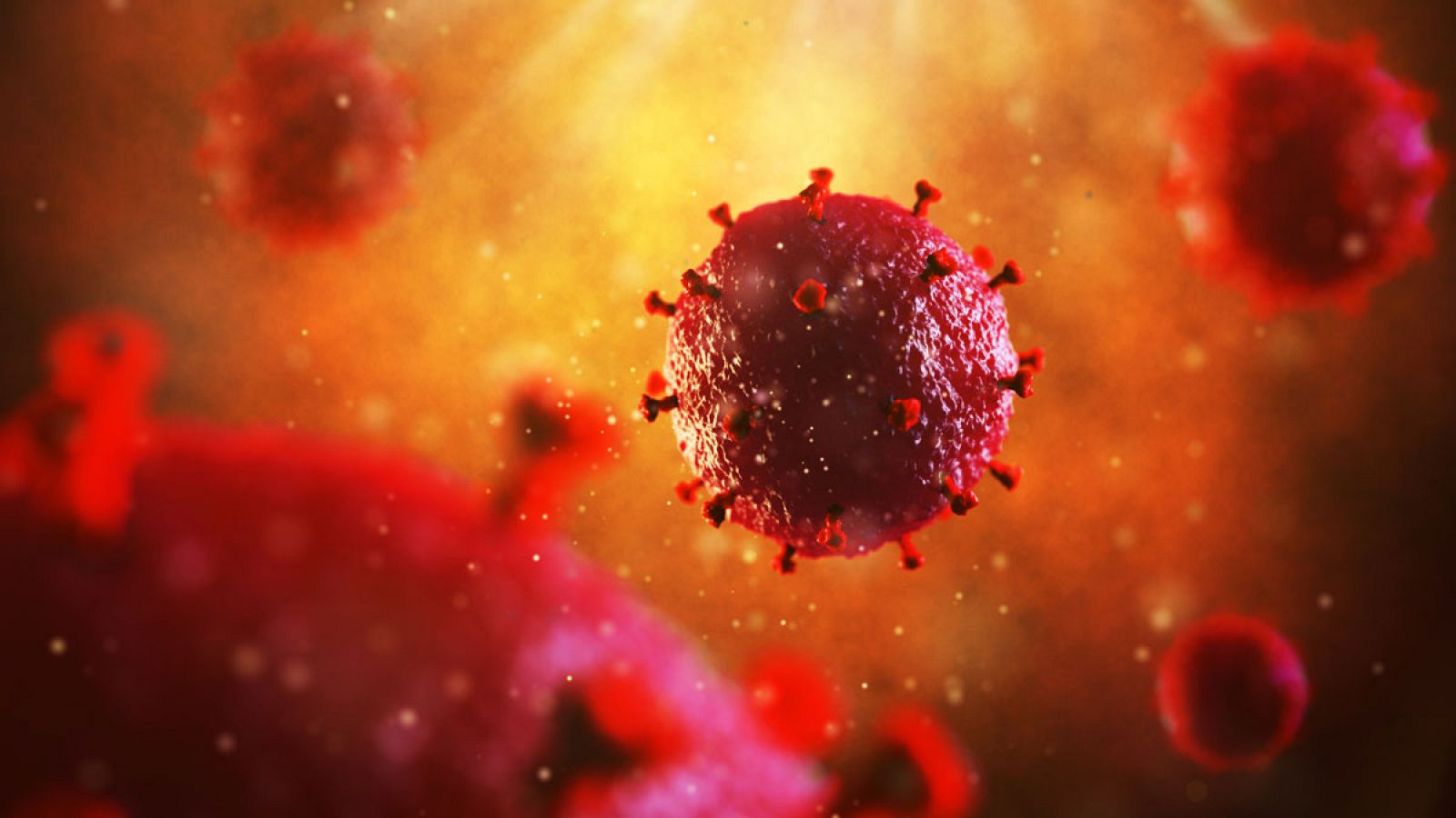 Una de las dificultades de atacar al VIH es que muta con cada ciclo de replicación, por lo que no existe un único virus, sino muchas variantes.