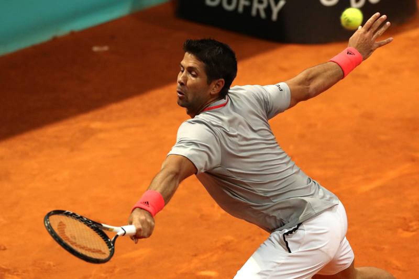 FERNANDO VERDASCO