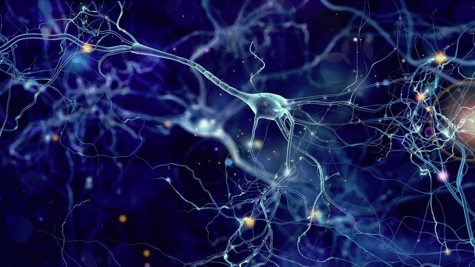 Las sinapsis entre neuronas disminuyen y funcionan mal en los pacientes de enfermedades neurodegenerativas como el alzhéimer.