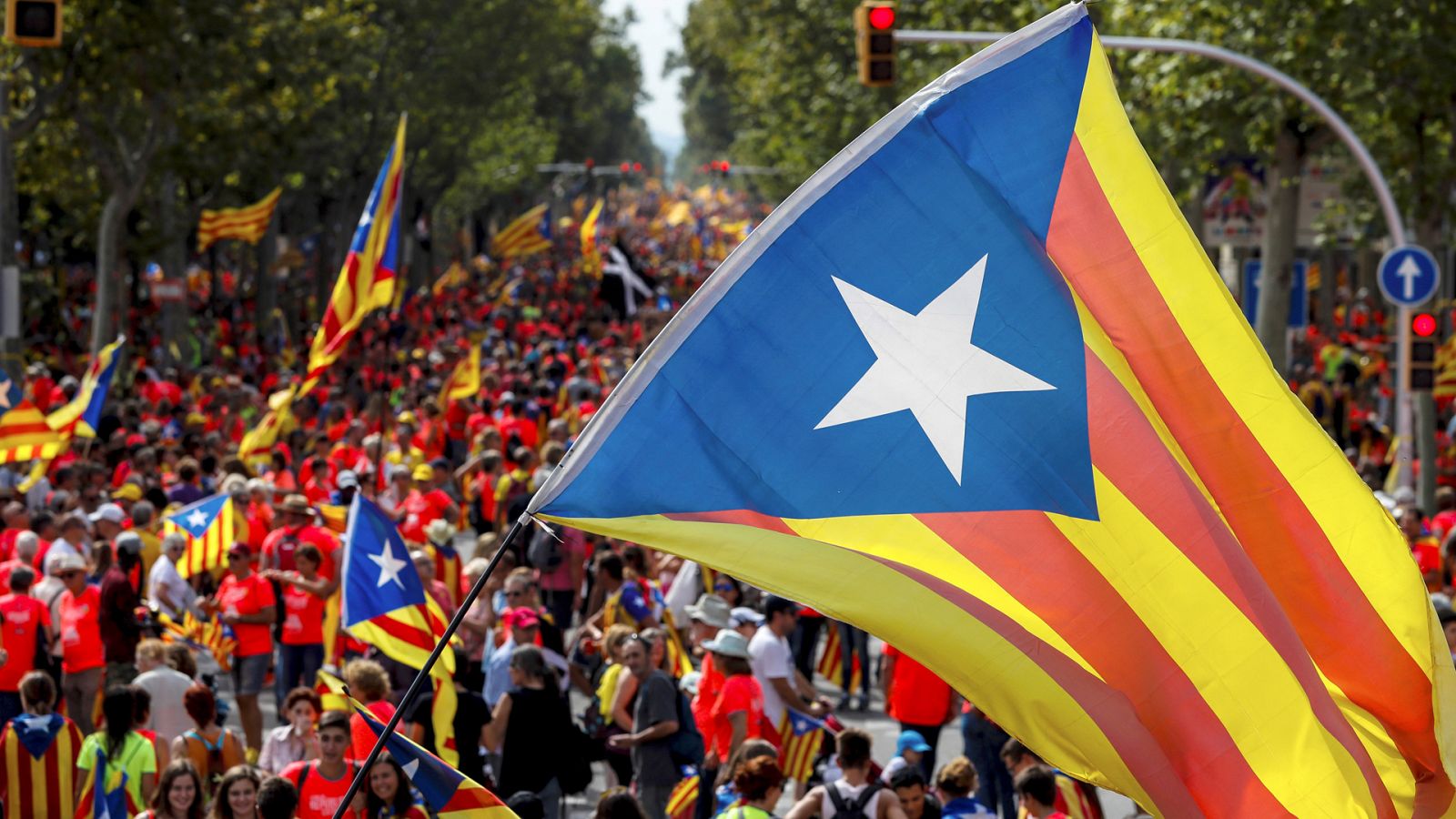 Una bandera estelada ondea en la manifestación de la Diada de 2018, en Barcelona