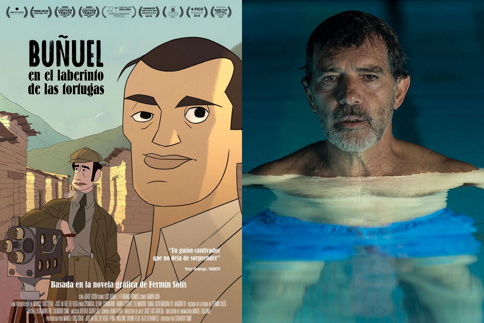 'Buñuel en el laberinto de las tortugas' y 'Dolor y gloria'.