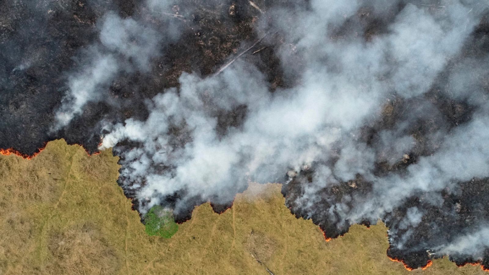 Vista aérea, tomada desde un avión no tripulado, en la que se aprecia el humo saliendo de un área deforestada en la selva amazónica en Porto Velho, estado de Rondonia, Brasil