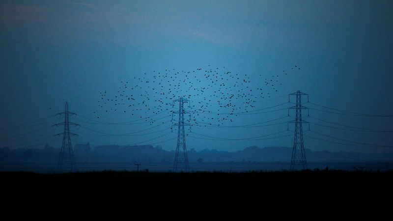 El precio de la electricidad ha bajado un 12,7% interanual en agosto