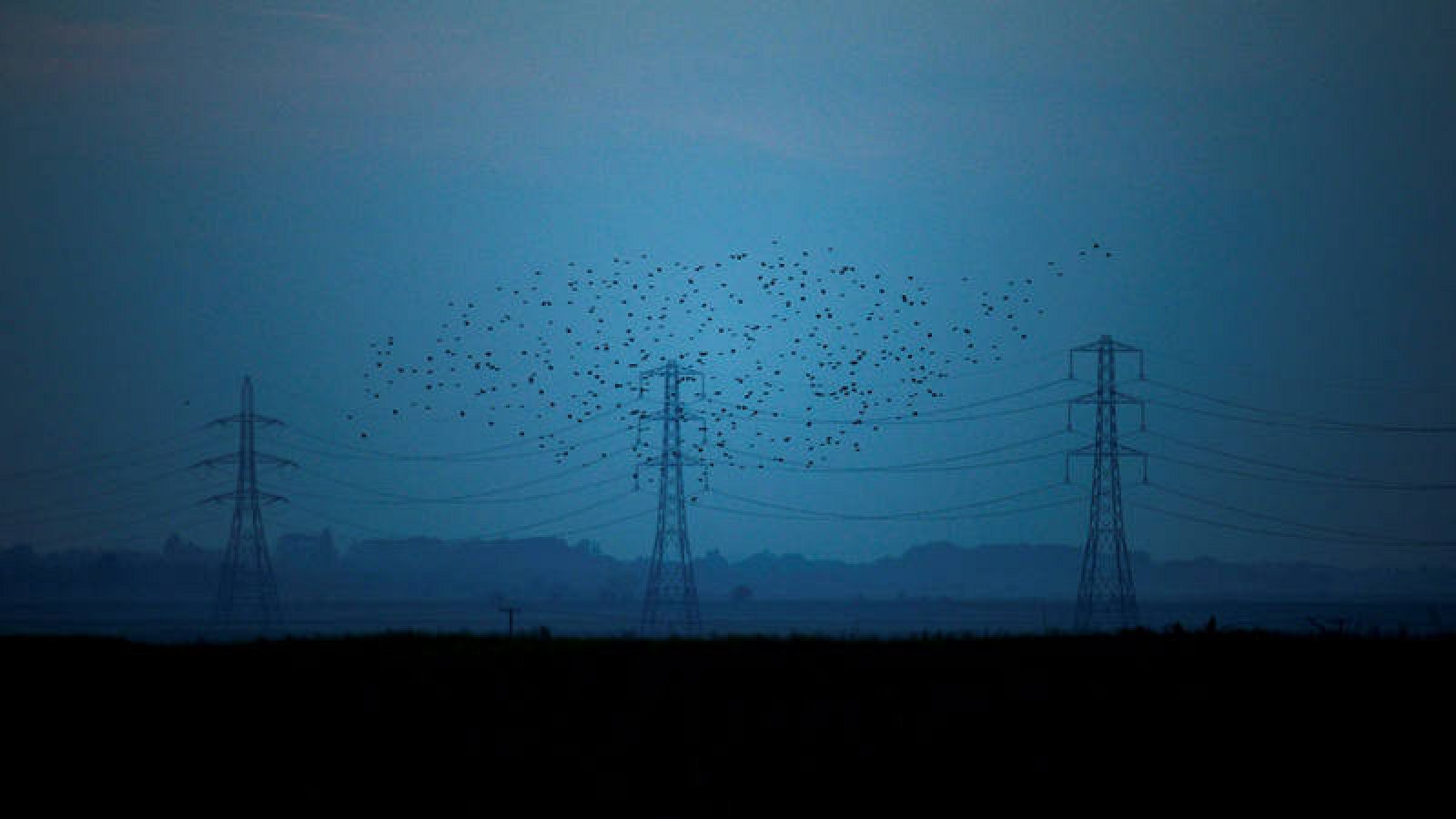 El precio de la electricidad ha bajado un 12,7% interanual en agosto