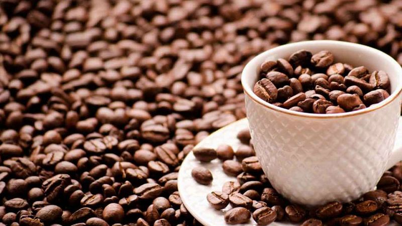 'Memoria de delfín' con el café