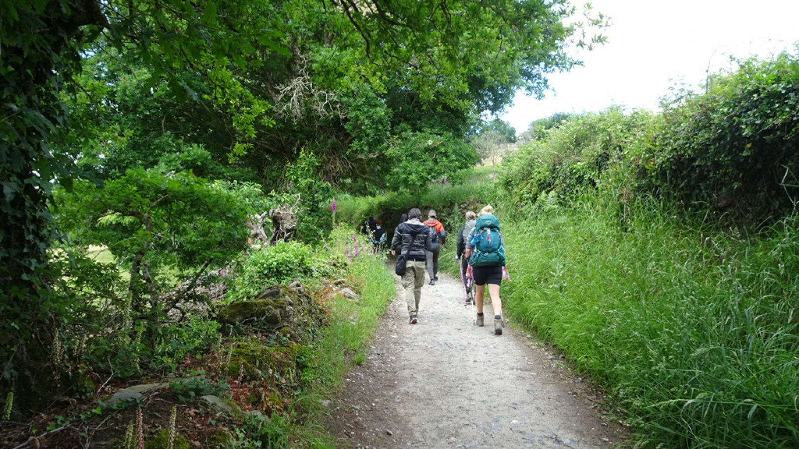 'Crónicas' aborda la reinserción de presos mediante el camino de Santiago