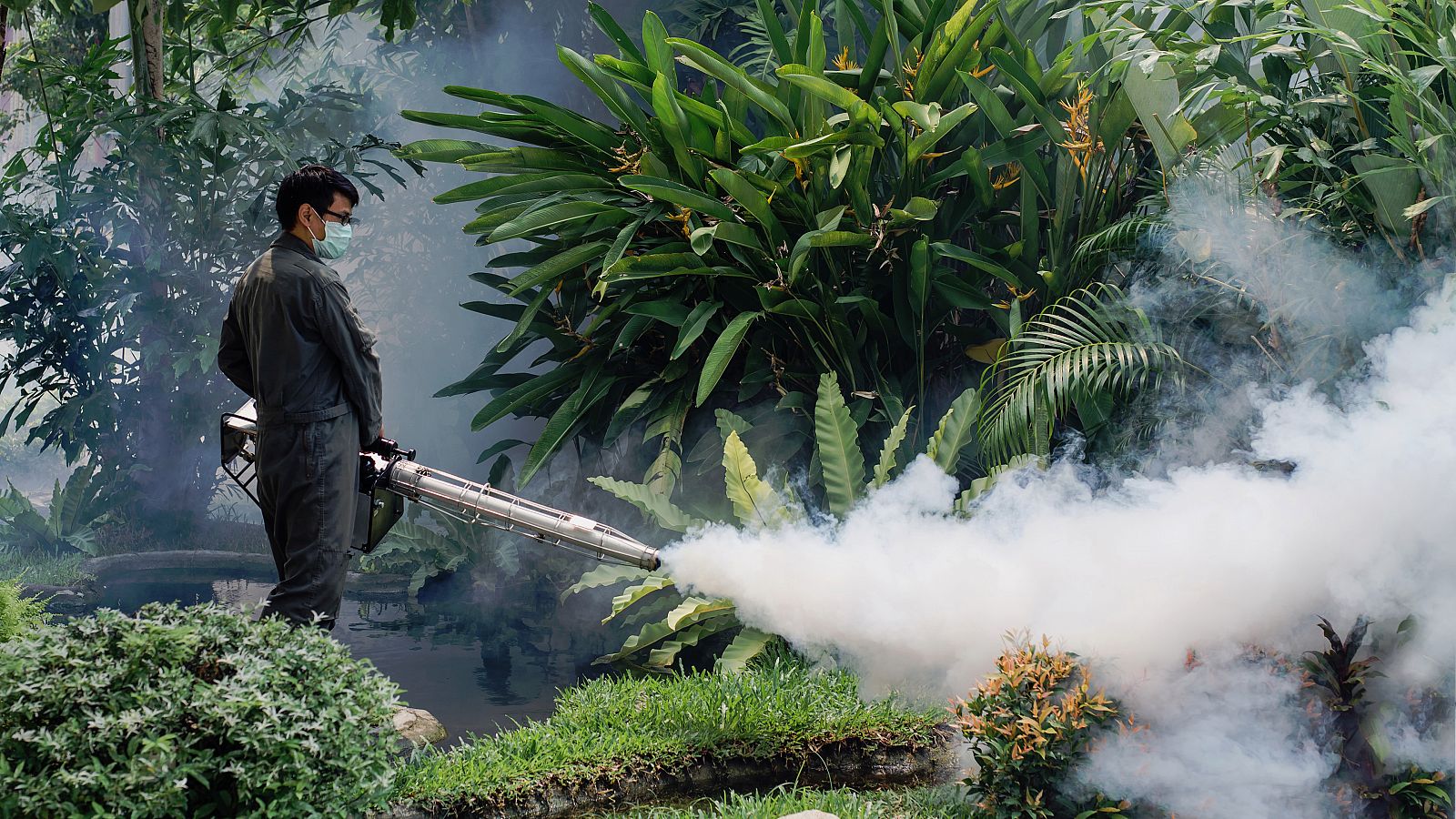 La fumigación es una de las medidas empleadas para combatir al mosquito de la especie Aedes, transmisor del dengue, entre otras enfermedades.