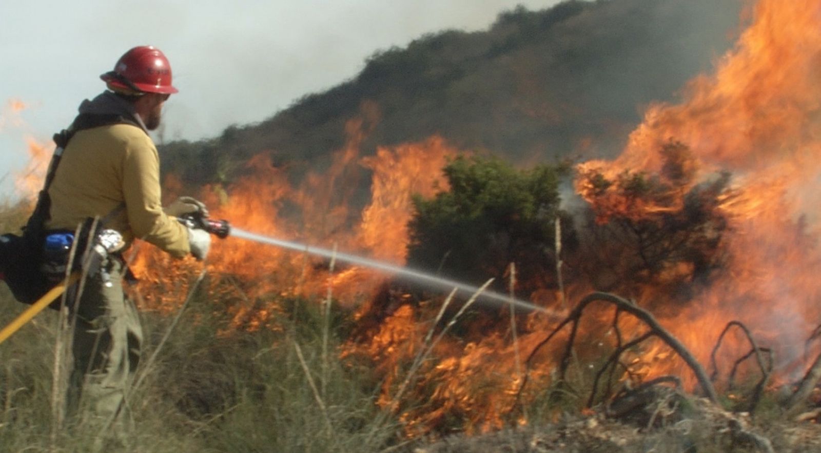 Bomberos realizando una quema controlada