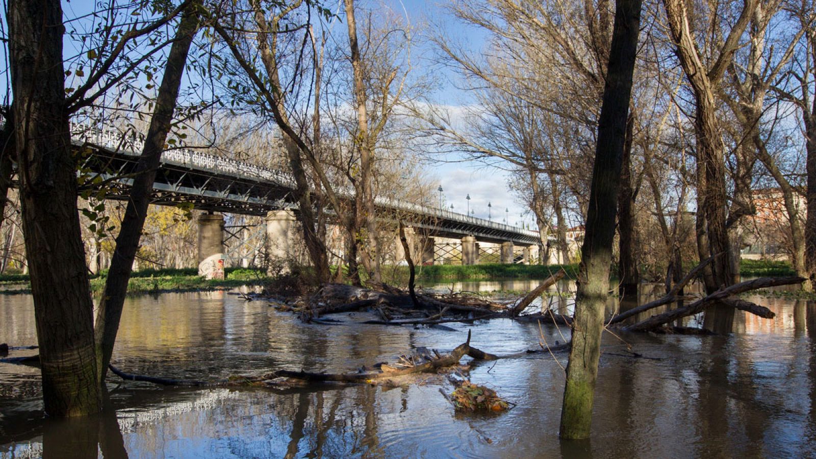 Imagen del nivel del río Ebro a su paso por Logroño.