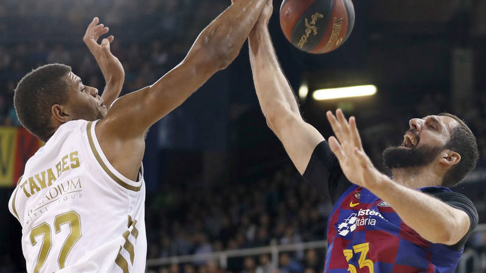 Tavares y Mirotic, en un rebote