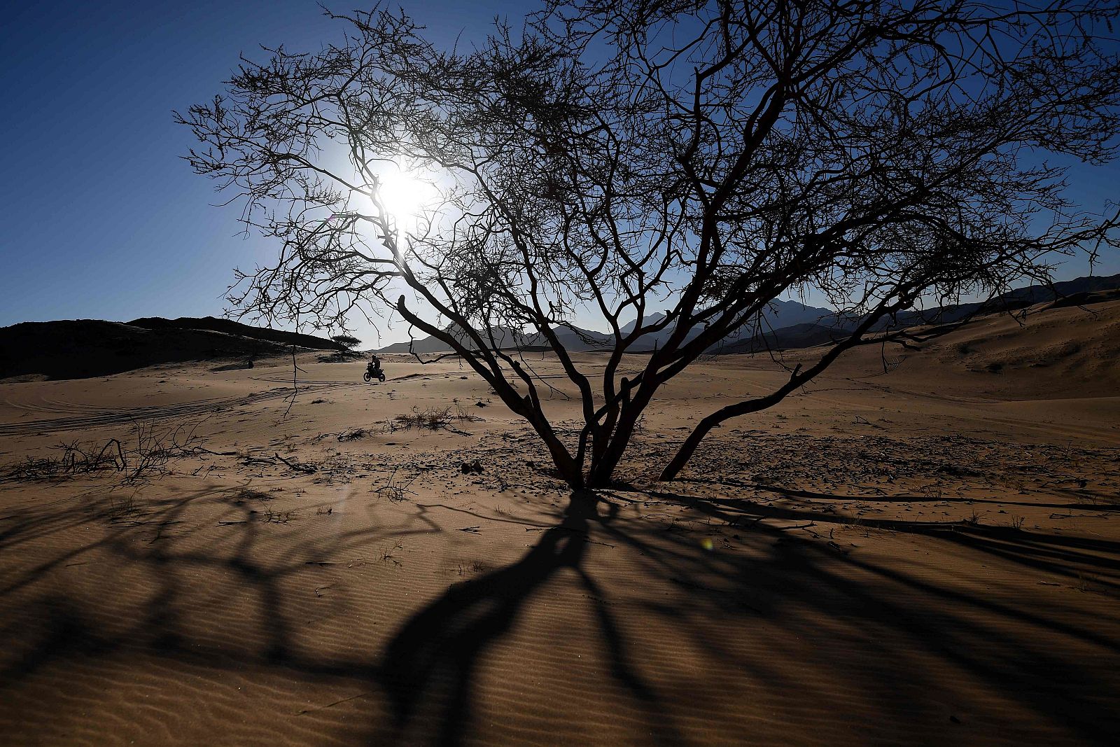 Imagen de uno de los pilotos del Dakar 2020 con su moto durante la segunda etapa.