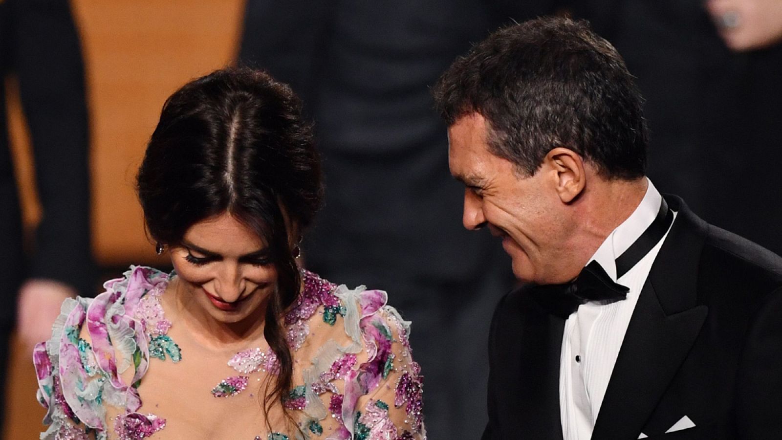 Penelope Cruz y Antonio Banderas, en la última gala de los Goya.