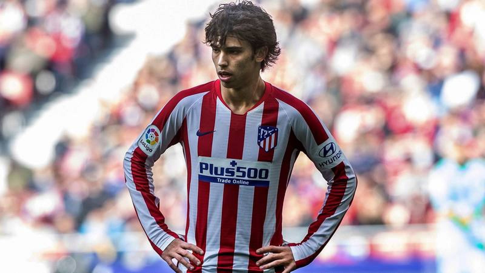 El delantero portugués del Atlético de Madrid Joao Félix
