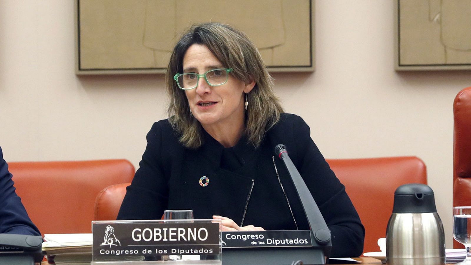 Teresa Ribera comparece ante la Comisión de Transición Ecológica y Reto Demográfico