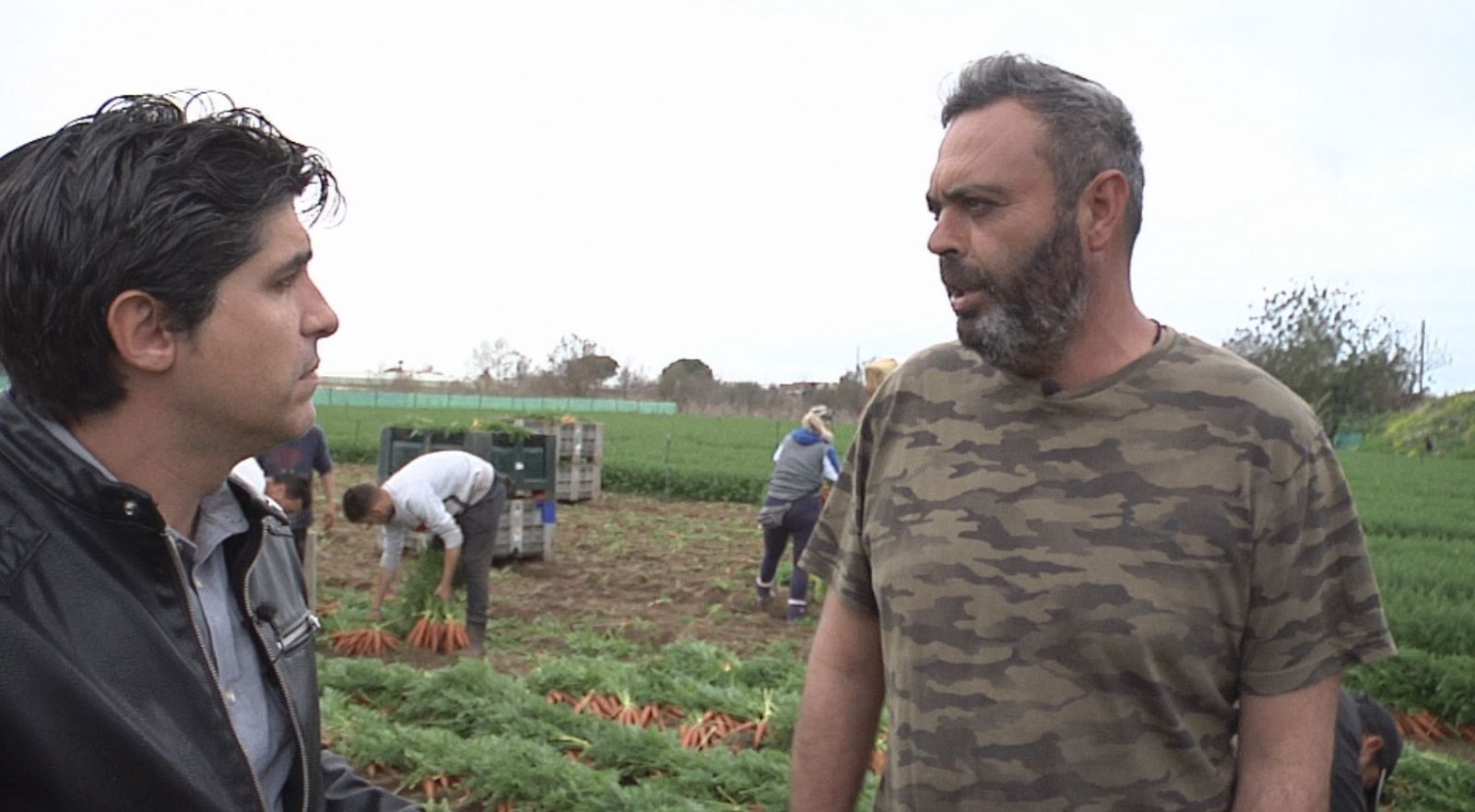 La crisis del campo, desde todas las perspectivas