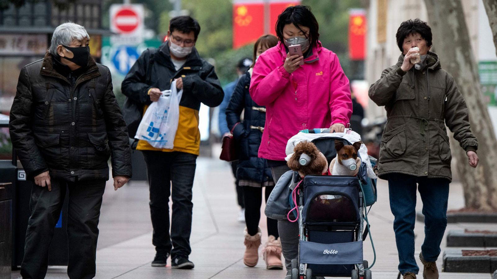 Una mujer pasea a sus perros protegidos con mascarillas en Shanghai