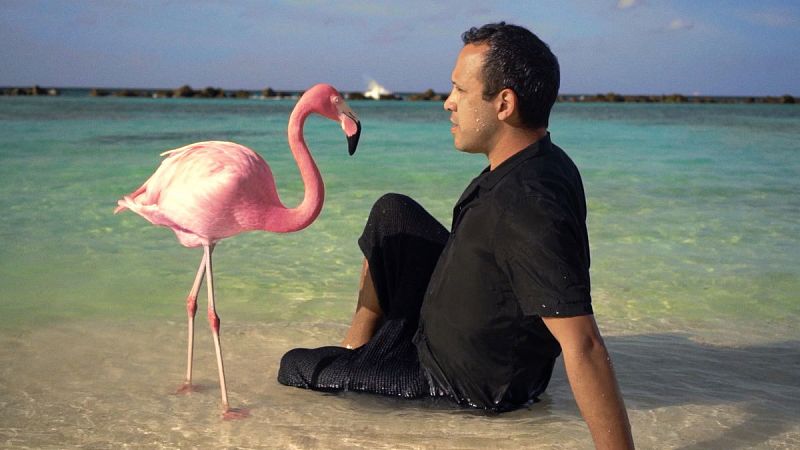 Rigo Pex (Meneo) en 'The mystery of the Pink Flamingo'