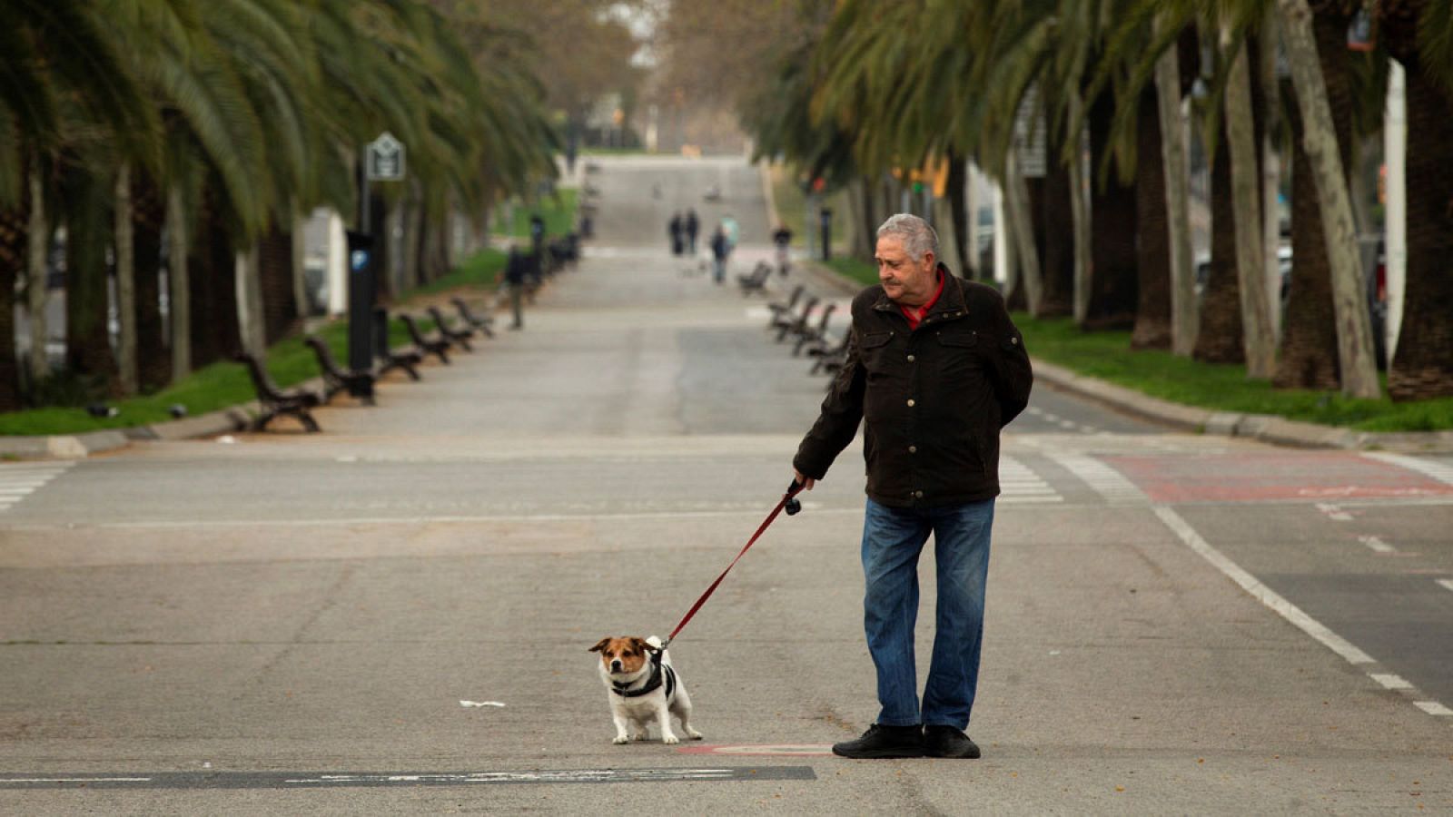 Un hombre pasea a su perro en Barcelona