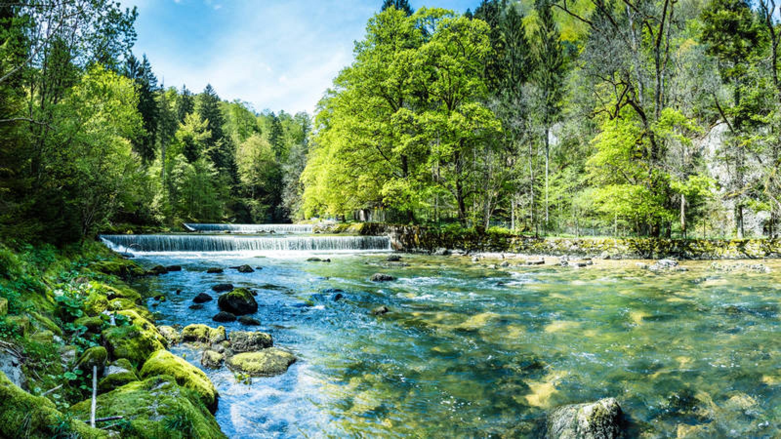 La Cuarentena No Impide Disfrutar De La Naturaleza L Rtve